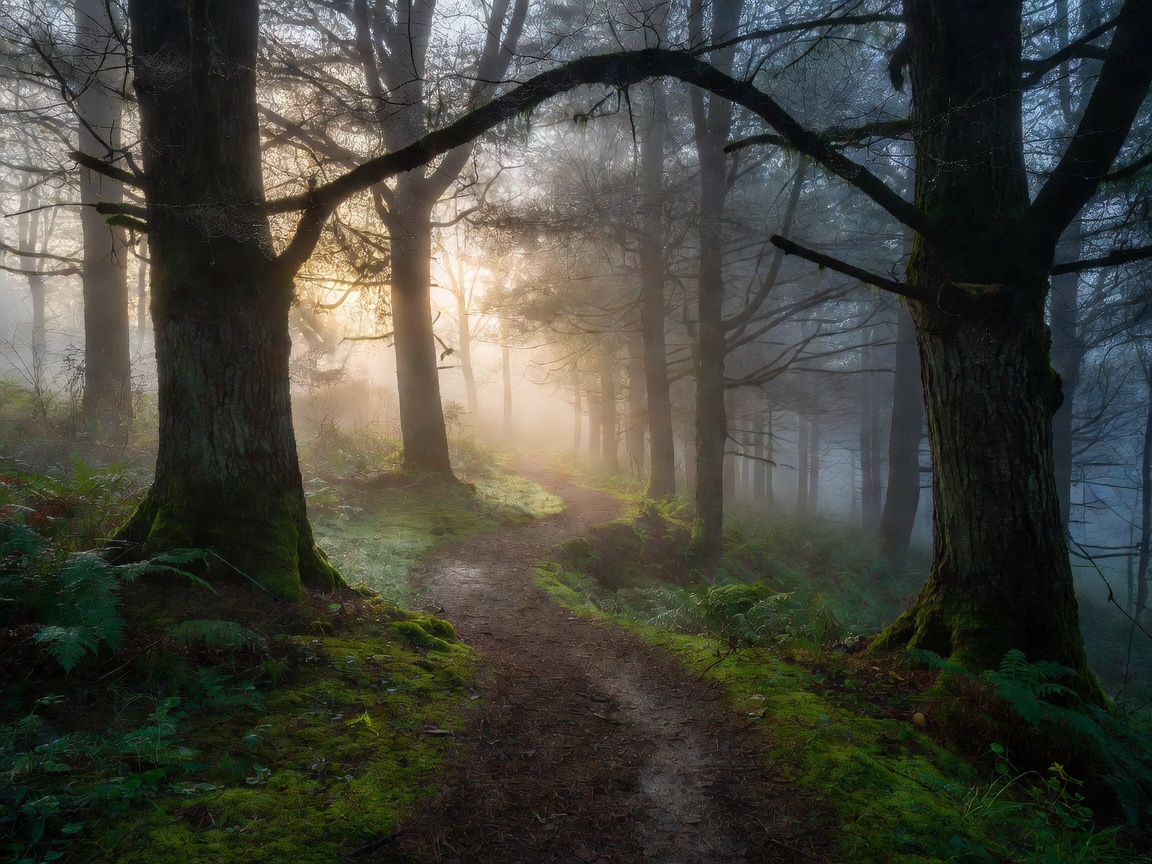Misty highlands pathway with lush green valleys and historic railway corridor in Scotland